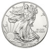 Stříbrná mince 1 Oz American Eagle 2013